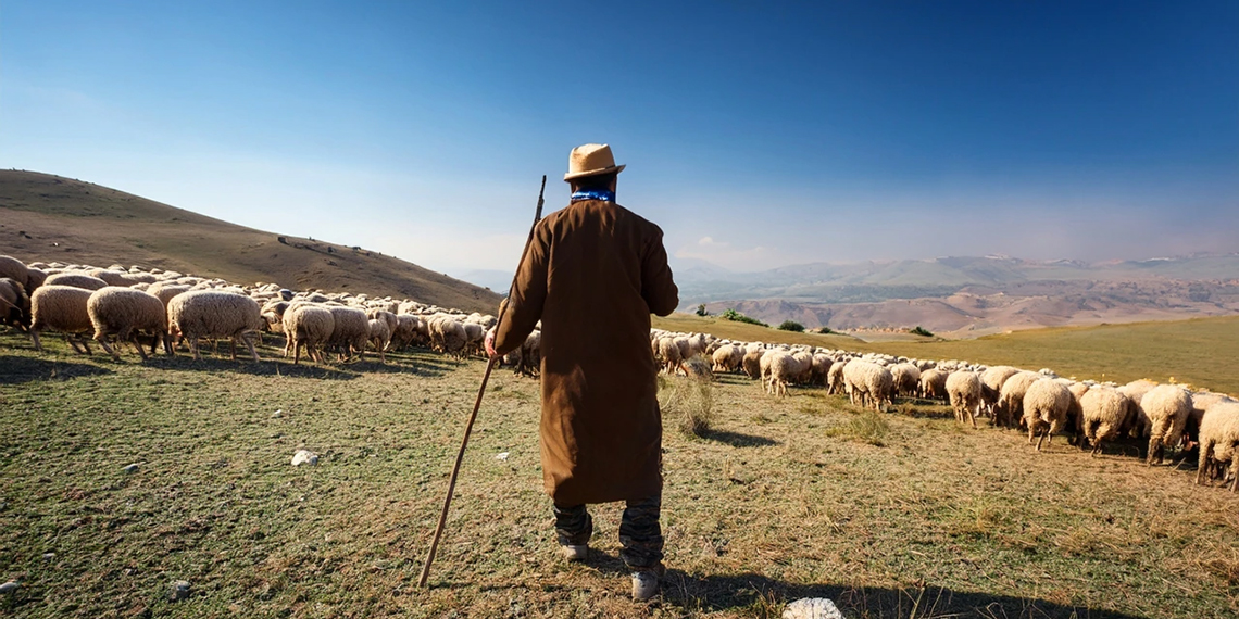 Yabancı Çoban Çalışma İzni 2026